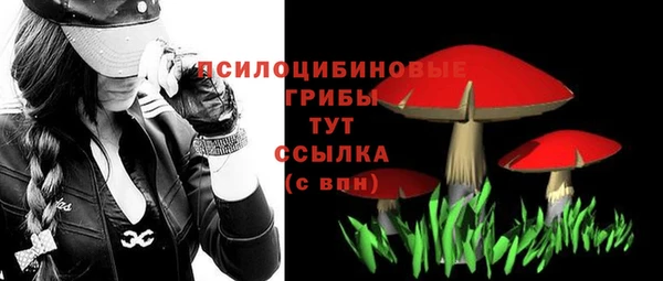 хмурый Липки