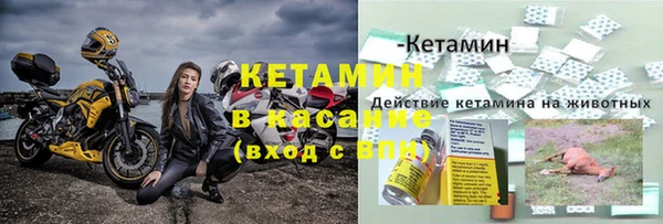 индика Верея