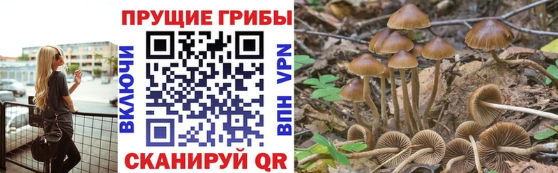Галлюциногенные грибы Magic Shrooms Зеленокумск