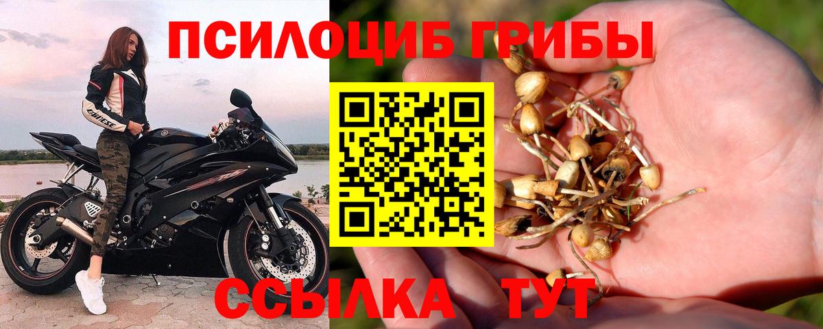 Псилоцибиновые грибы Magic Shrooms Зеленокумск
