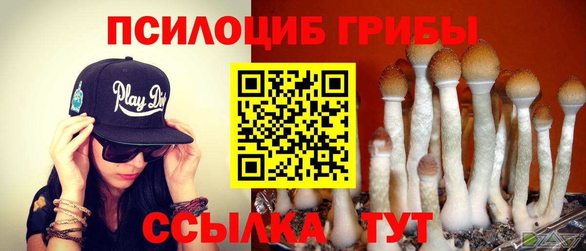 Псилоцибиновые грибы Psilocybine cubensis  где можно купить   Зеленокумск 
