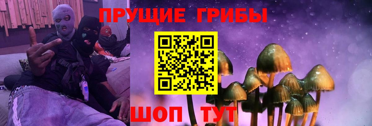 Псилоцибиновые грибы мицелий  Вход с VPN  Зеленокумск 